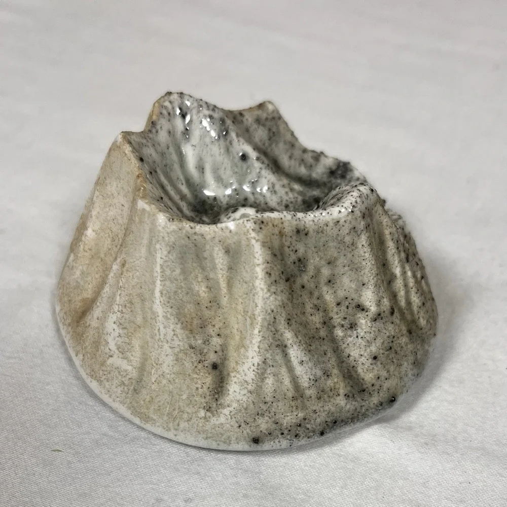 Mount St Helens Volcano Ash Salt OR Pepper Shaker 1980 Zoeller Rare Vintage -See